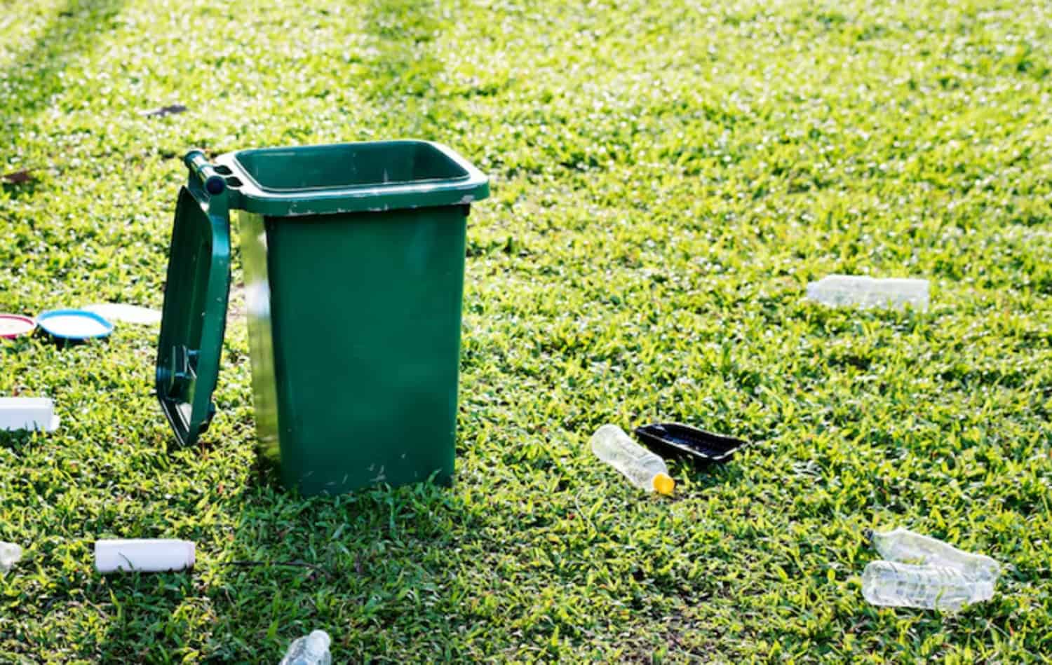 Skip Bin Hire